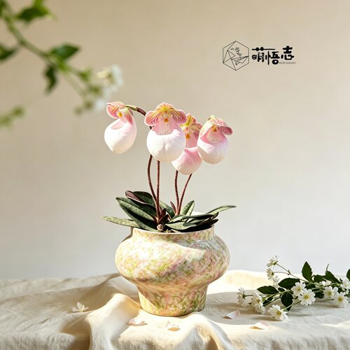 萌悟志陶瓷彩绘室内桌面花盆