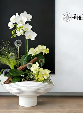 高脚艺术蝴蝶兰专用花盆陶瓷家用客厅桌面兰花组合造景大口径透气