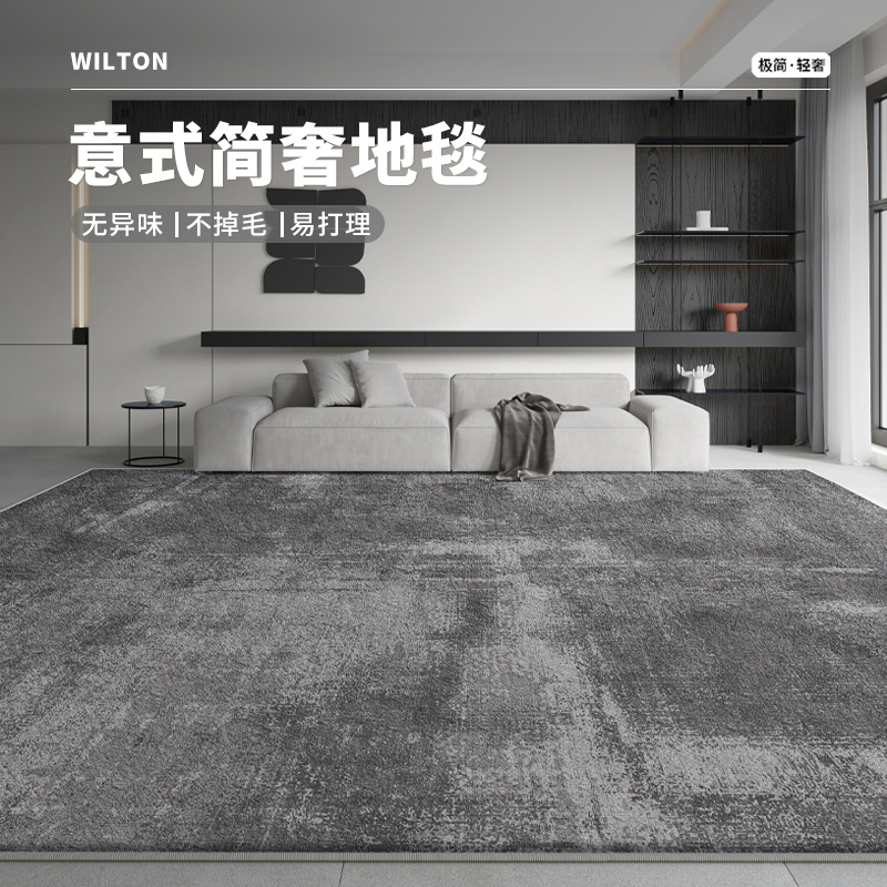 地毯客厅2025新款轻奢高级感灰色简约沙发茶几地垫卧室免打理家用