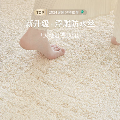 家用客厅高级简约硅藻丝防水地毯