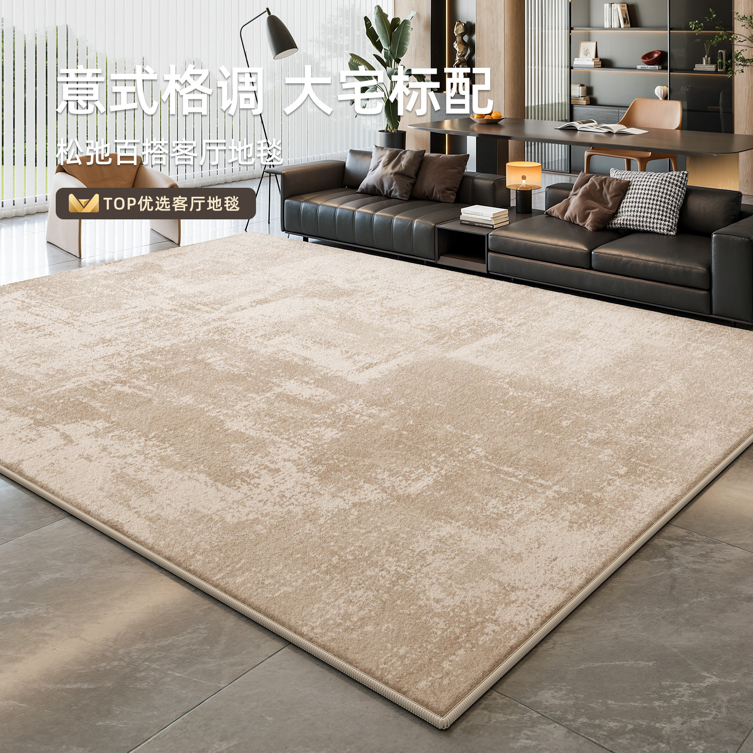 地毯客厅意式极简轻奢高级感地垫