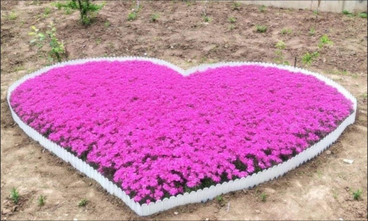 花园围栏栅栏挡土塑料板户外护栏小篱笆草坪花圃围边菜园花坛隔断