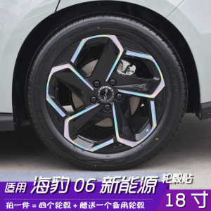 比亚迪海豹06新能源轮毂改色贴膜