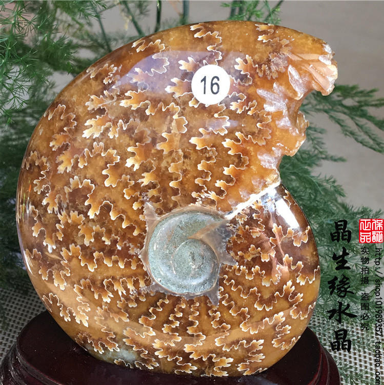 马达加斯加原石实物图摆件送底座