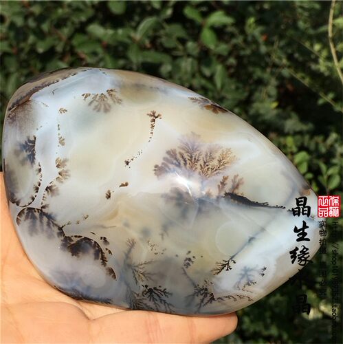 天然马达加斯加海洋玉髓水草玛瑙原石把玩石收藏奇石实物图 - 封面