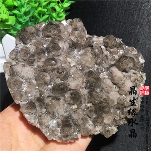 天然内蒙水晶原矿茶晶菠萝簇小摆件实物图