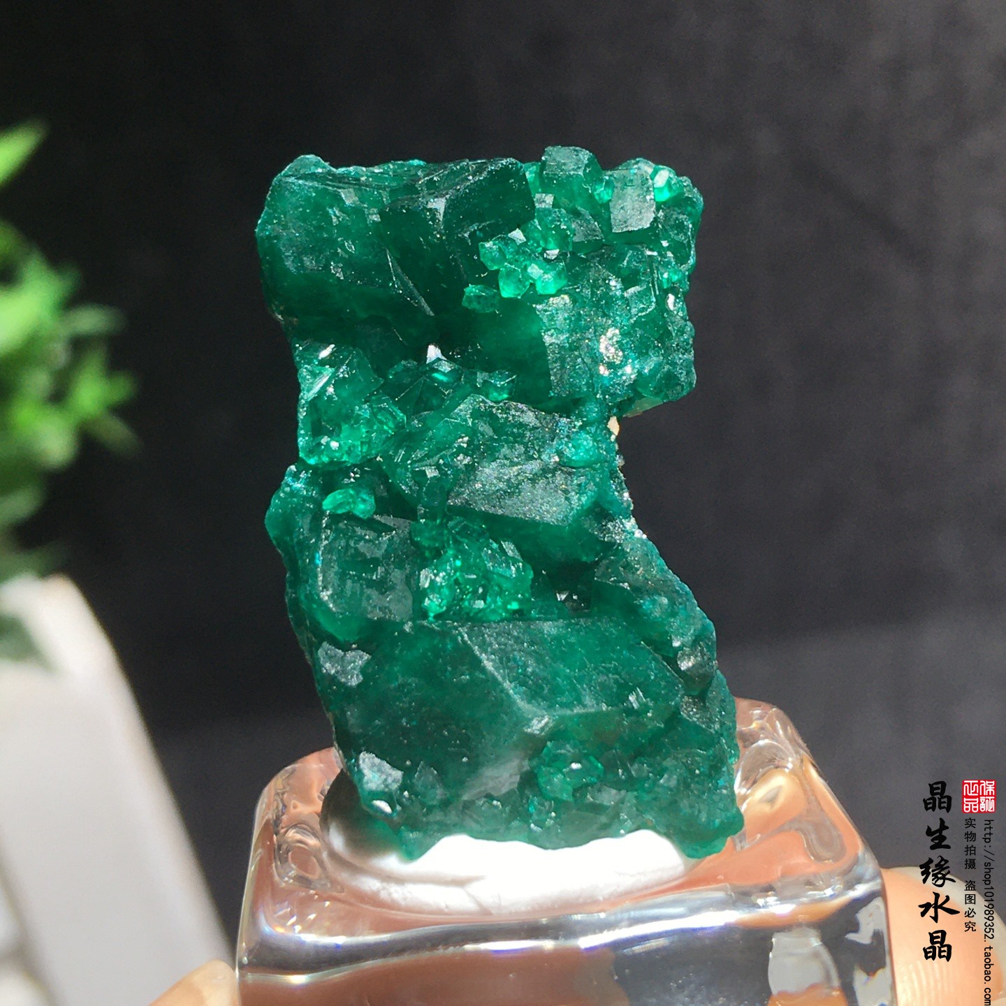 天然刚果翠铜矿小原矿收藏矿石实物图