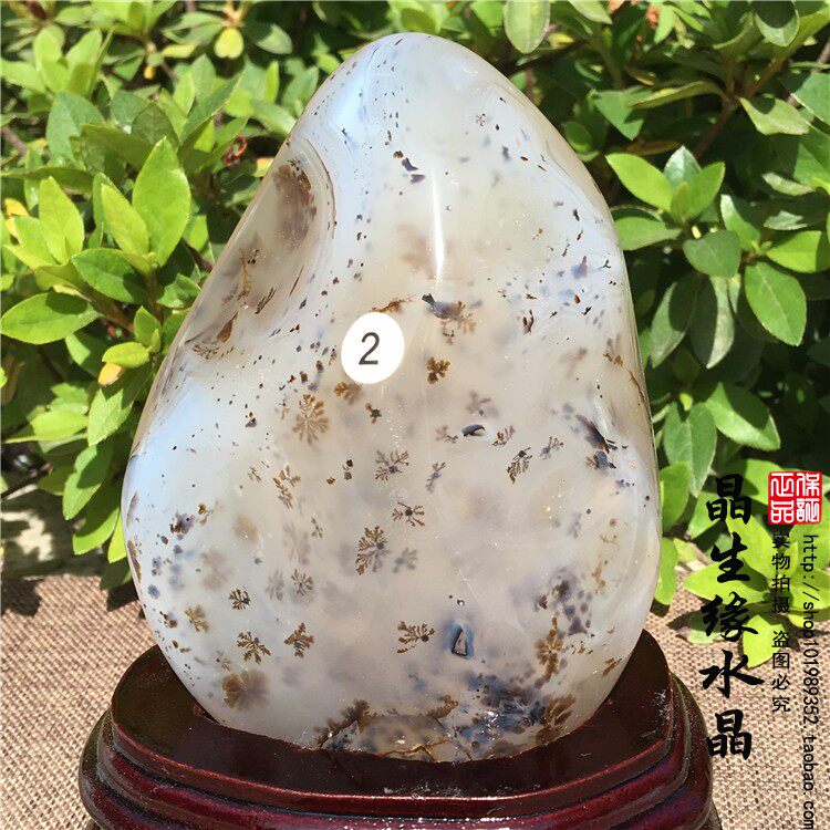 天然水草玛瑙原石奇石 质地细腻 自用收藏礼品实物图送底座