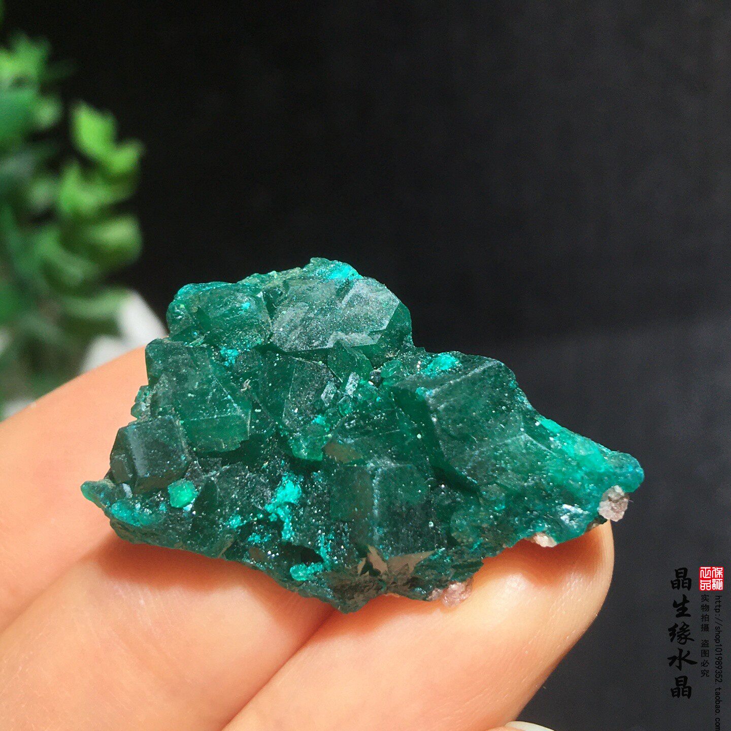 天然刚果翠铜矿小原矿收藏矿石实物图特价
