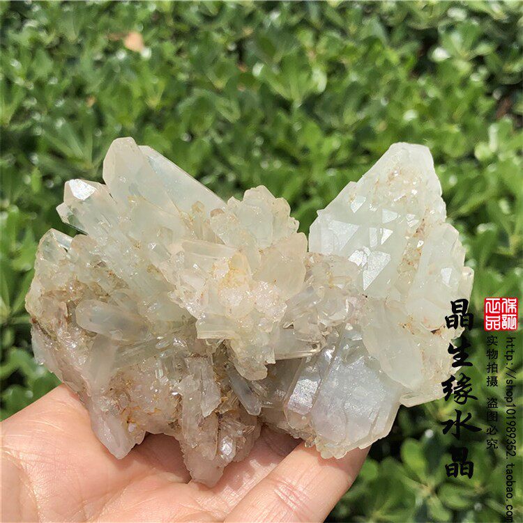 天然巴基斯坦水晶簇绿幽灵原石标本原生态水晶实物图