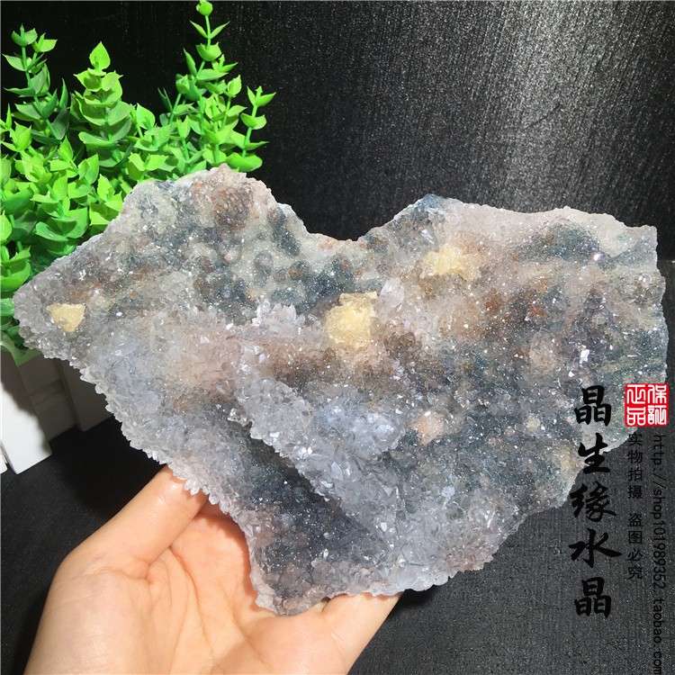 天然巴西异像水晶晶花小j晶簇小摆件
