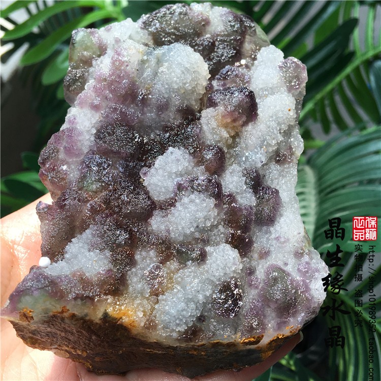 内蒙晶体教学摆件收藏实物萤石