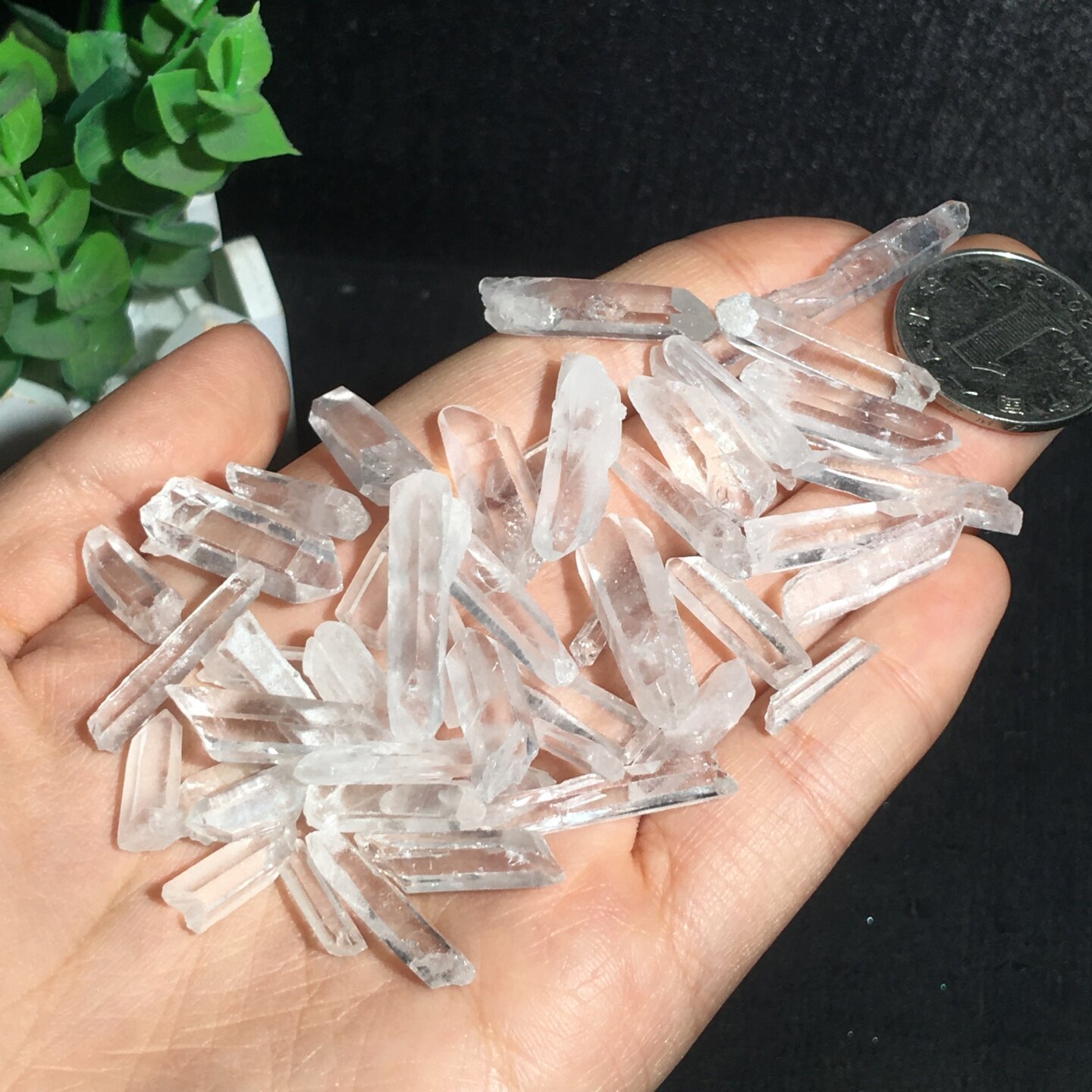 天然四川白水晶小柱消磁矿石原矿开采未打磨实物图一组可选特价