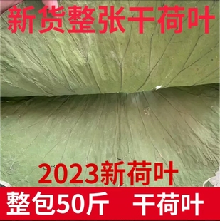 荷叶整包50斤叫花鸡用干荷叶整张干荷叶通货新荷叶鸡用糯米鸡荷叶