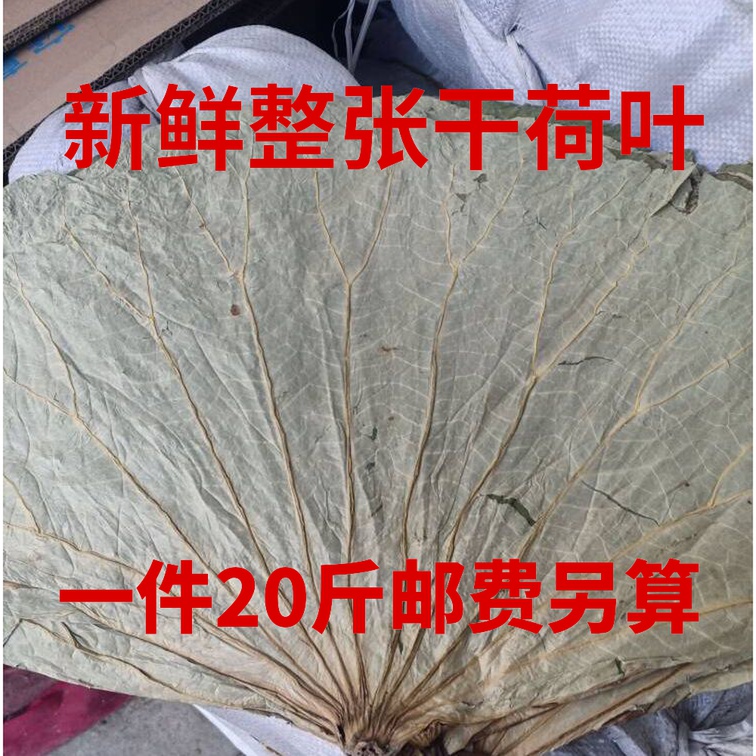 微山湖新鲜整张干荷叶糯米鸡