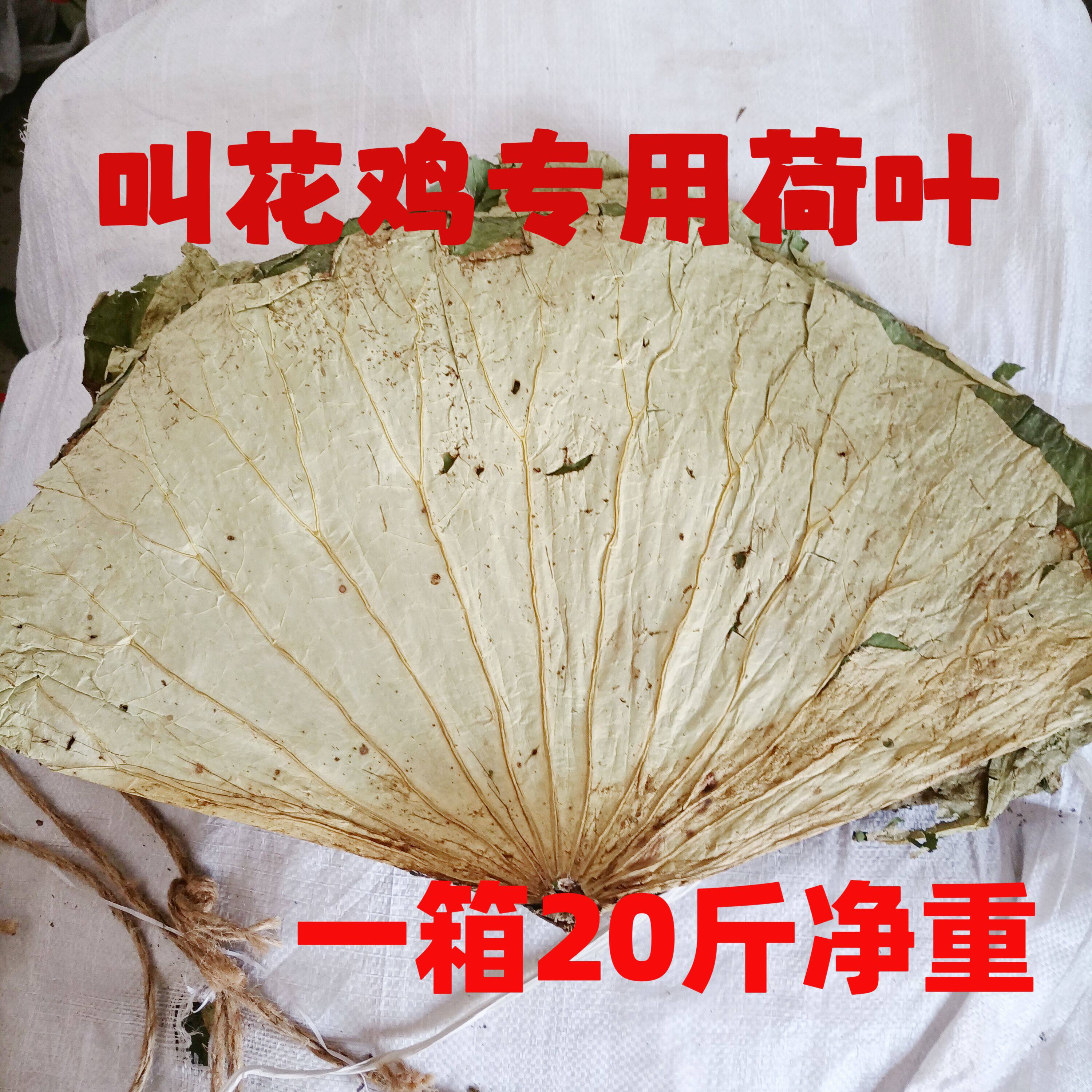 2025荷叶20斤/箱新货荷叶荷叶