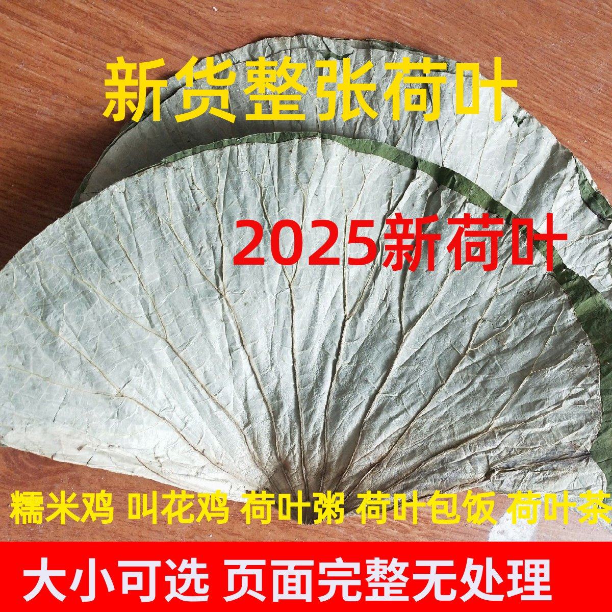 整张荷叶叫花鸡荷叶鸡包糯米鸡用荷叶熬粥荷叶片500g新鲜干荷叶,传统滋补营养品,荷叶,淘宝优惠券,粉丝福利购,淘宝优惠卷