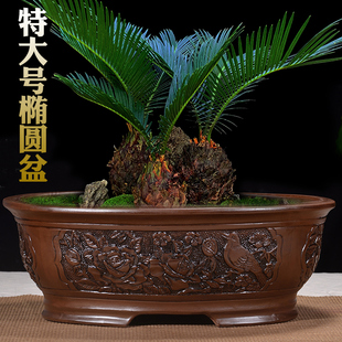 宜兴仿古浮雕陶瓷花盆长方形椭圆形盆景花盆榕树迎客松特大号花盆