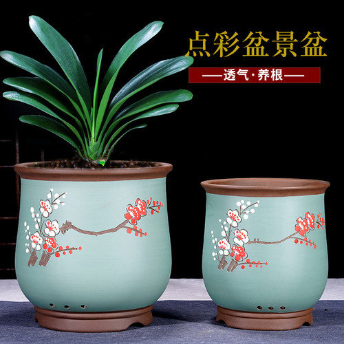 宜兴紫砂花盆君子兰绿植盆栽盆景