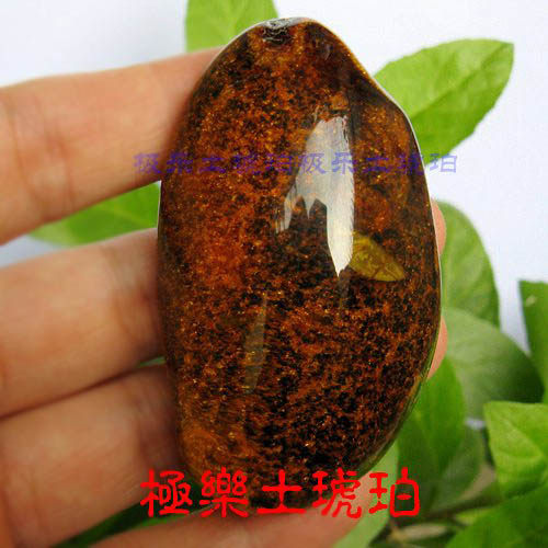 【极乐土琥珀】904天然虫珀吊坠  原石原料 琥珀虫珀吊坠 天然