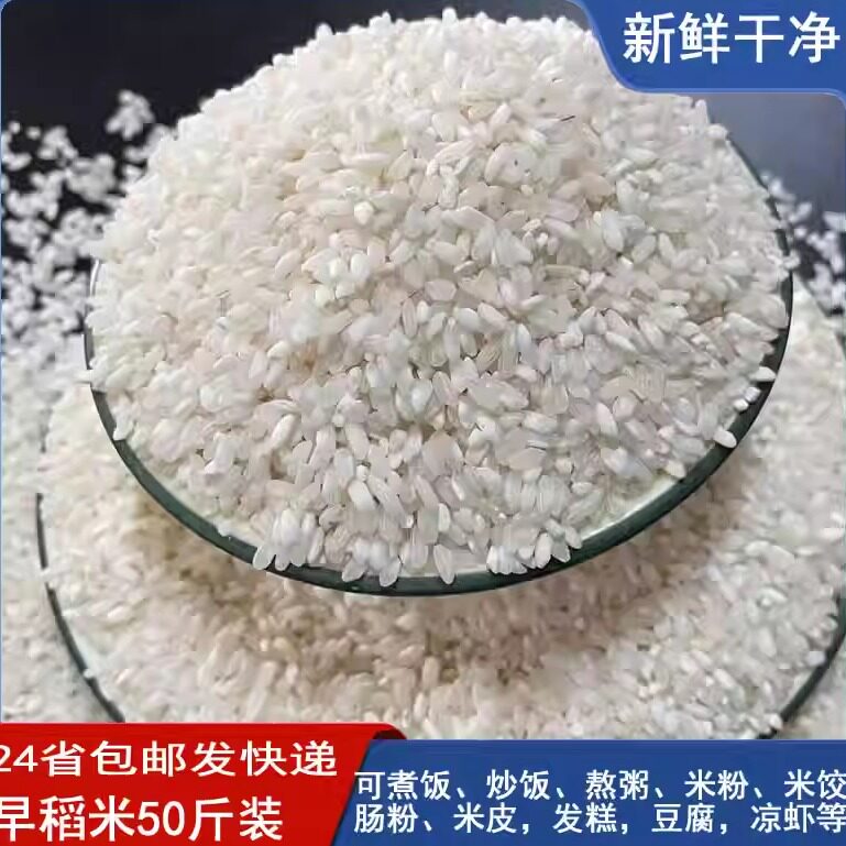 安徽早稻米早籼米圆粒谷无粘性肠粉专用米发糕豆腐豆丝炒饭米50斤