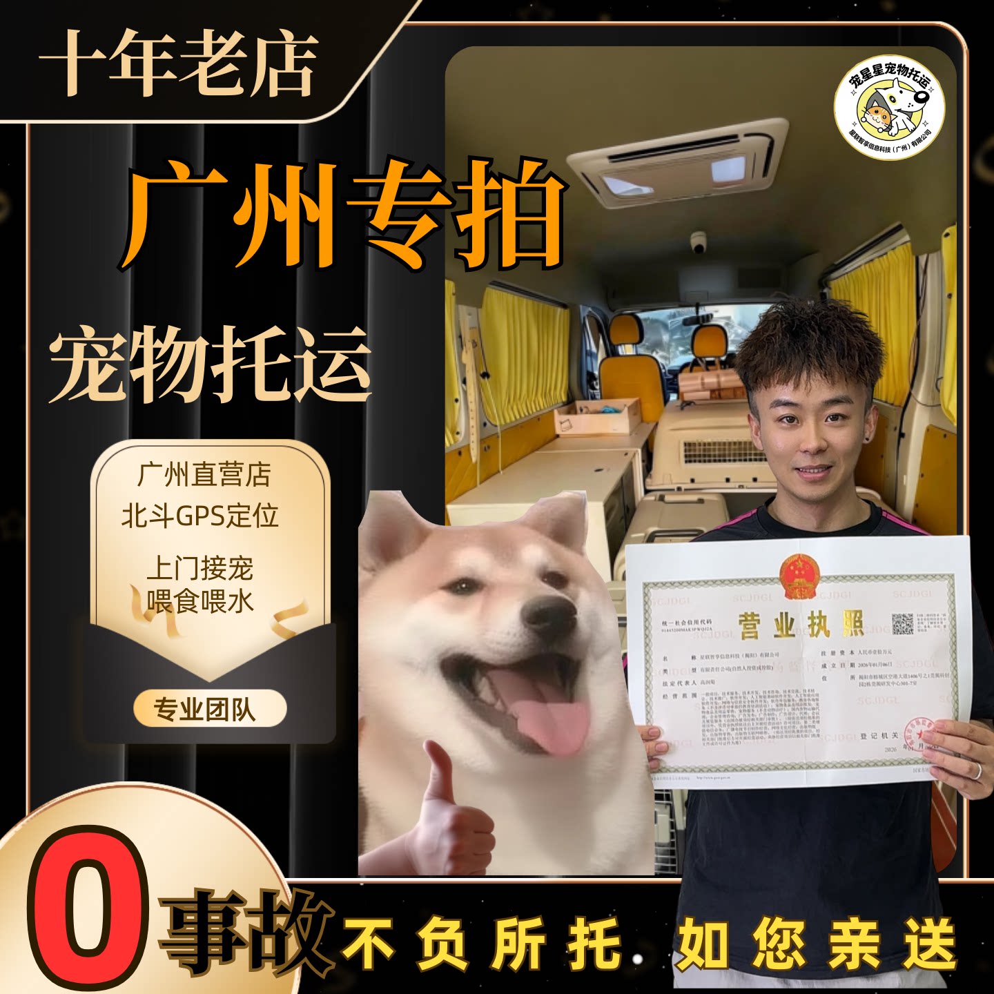 广州宠物服务全国猫咪狗空运专车