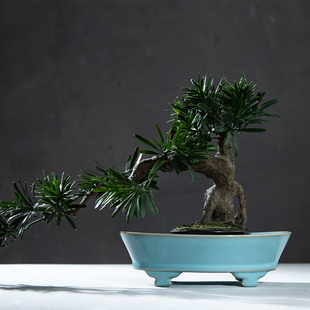 仿古瓷器 复古北宋官窑 天青釉水仙盆 花盆 盆景盆 花器 收藏古玩