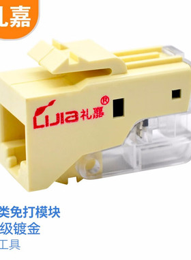 礼嘉（LIJIA）  超五类非屏蔽免打模块 CAT5E百兆电脑网络模块 镀金网线连接头插座 工程级 白色  LJ-5015M