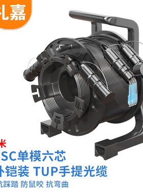 礼嘉（LIJIA）室外野战光缆 SC-SC 200米双端 LJ-STSC-6-20