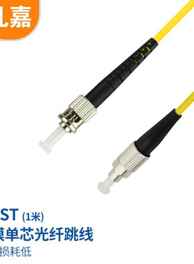 礼嘉（LIJIA）电信级光纤跳线 1米 FC-ST 3.0单模单芯 LJ-FCST01