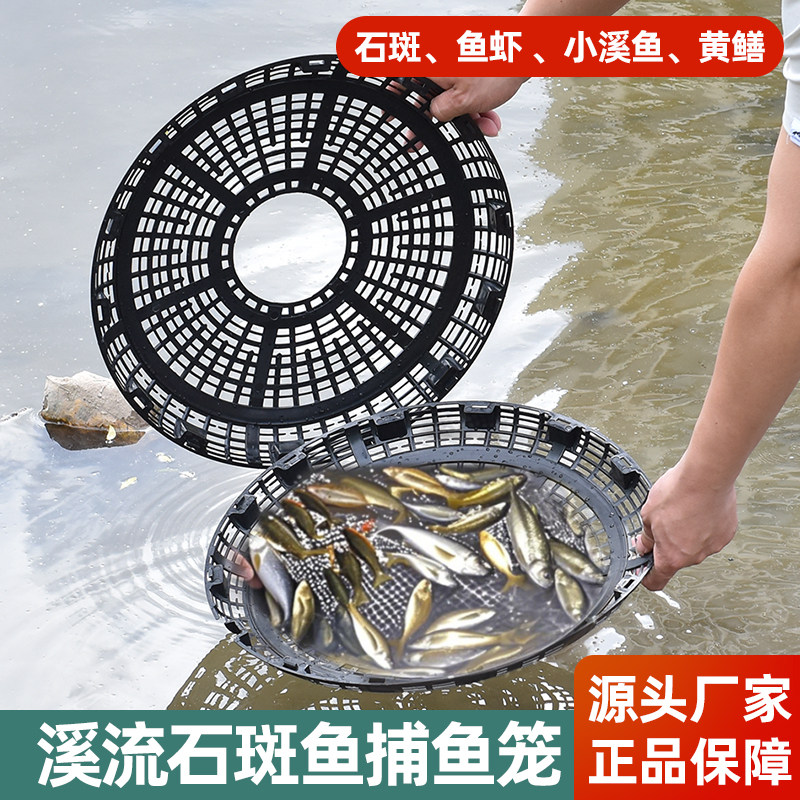 捉石斑鱼马口专用网溪流捕鱼神器渔网虾笼鱼笼抓鱼工具小溪鱼鱼网