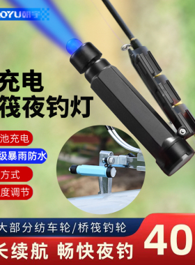 新款桥筏灯夜钓竿稍灯充电筏钓灯杆梢钓鱼蓝光灯筏钓灯桥阀桥钓灯
