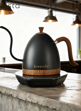 Brewista温控手冲壶B壶智能温度控制电热水壶不锈钢家用定温壶Pro