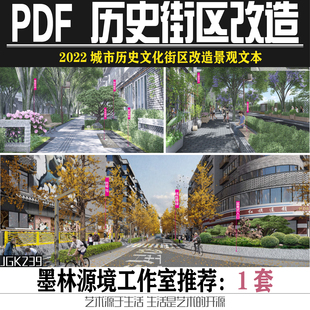 2022历史文化街区街道古街改造景观提升街面整治环境提升方案文本