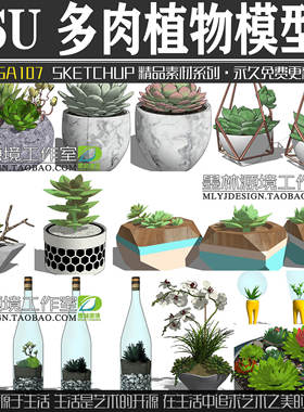JGA107园林景观室内外多肉植物SU模型城市家具装饰品sketchup素材