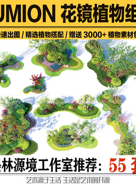 2023lumion12/11/10/9植物组团园林花境地被花卉绿化植物搭配素材