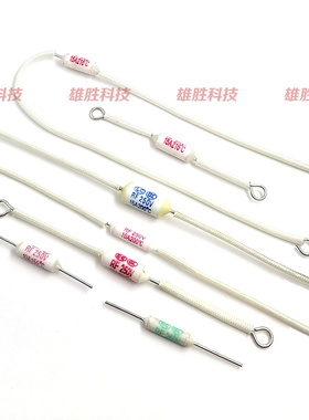 电饭煲压力锅陶瓷RF温度保险丝10A/15A/20A 250V 熔断器125-240度