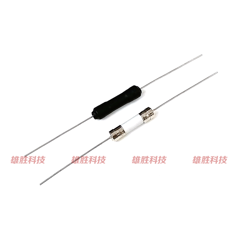 陶瓷保险丝管带引脚5X20MM250V