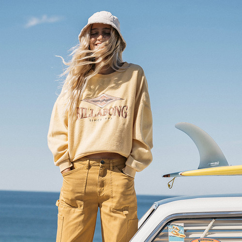 【复古LOGO】澳洲出口原单 秋冬新款 纯色毛棉加绒创意套头卫衣女