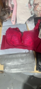 莎莲妮专柜正品 文胸罩加厚A杯小胸聚拢调整型内衣SK5114 5113 包邮