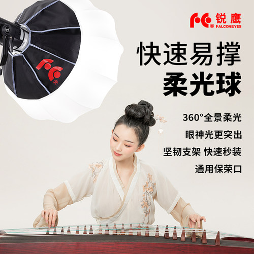 锐鹰65cm保荣口柔光球笼子箱