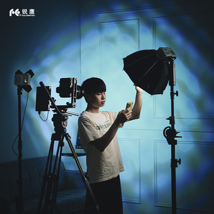 锐鹰F120C柔光罩蜂巢抛物线柔光箱柔光球四叶挡光板转接环适配器电源手柄电池氮化镓供电头 四叶挡光板 蜂巢