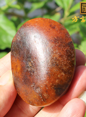 青花籽料福寿绵长龟壳手把件