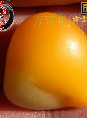 方言一手和田玉籽项链金镶玉原石珍稀名品黄金黄色黄玉精品吊坠F