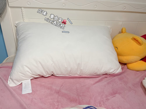 长绒棉单人五星级枕头