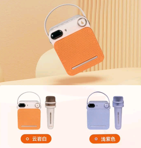 PP203无线蓝牙音箱户外k歌儿童练歌音响话筒麦克风小蜜蜂扩音器
