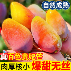 应季贵妃芒新鲜热带水果