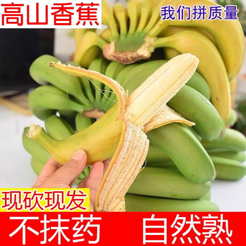 高山香蕉软糯香甜不催熟