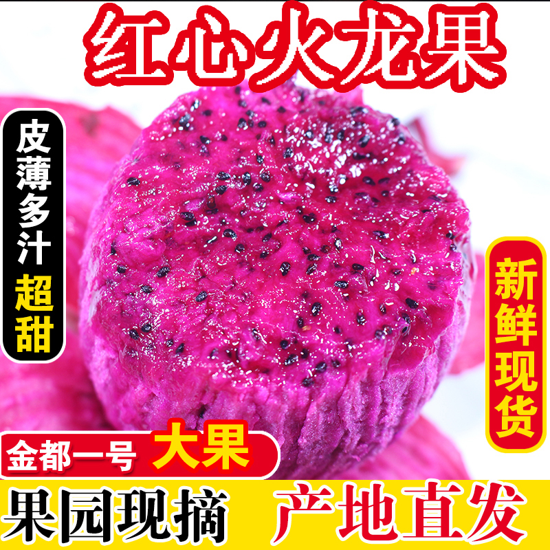 金都一号产地直发现摘现发