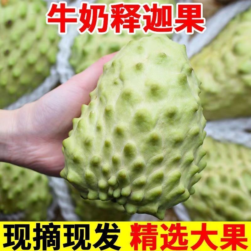 当季水果新鲜现摘大果包邮